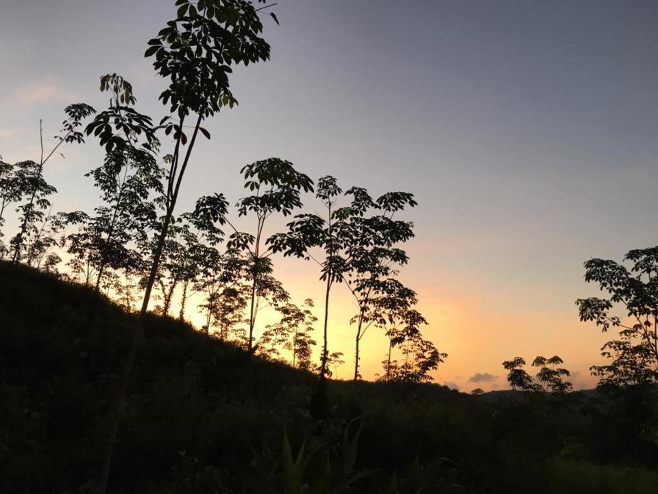 Bangnu Greenery Resort Takua Thung Exterior foto